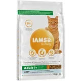 for Vitality Adult z morsko ribo - 10 kg