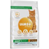 IAMS for Vitality za odrasle mačke s morskom ribom - 10 kg Cijene