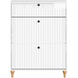  Ormar za cipele ALKMAAR 78 x 24 x 103 cm Konstruirano drvo - Bijela visokog sjaja | shoptok.hr