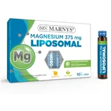 Magnesium 375mg liposomal 10x25ml