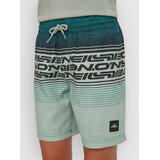 O'neill Logo Stripe Kids Boardshorts boys green heritage Cene