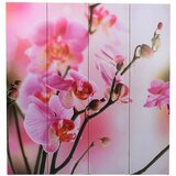 Furnova Zložljiv paravan 160x170 cm cvetje, (21929661) | Shoptok.si