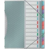 Esselte organizator mapa Color, Ice, A4, PP, 12 predelkov, (21651977)