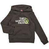 The North Face Puloverji Boys Drew Peak P/O Hoodie Siva | Shoptok.si