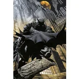 PLAKAT BATMAN GARGOYLE, (20837012)