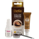 Delia Cosmetics Argan Oil barva za obrvi odtenek 3.0 Dark Brown 15 ml | Shoptok.si