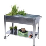 Garden Pleasure Visoka gredica za sadnju Mariegold – | shoptok.hr