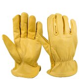 Dardanar Rokavice iz ovčje kože so zelo mehke in zelo vpojne, (21205093) | Shoptok.si