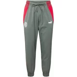 Puma Sportske hlače siva / crvena / bijela