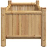  Sadilica 50 x 30 x 25 cm od bambusa | Shoptok.si