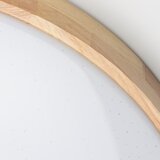  Brilagi - LED prigušiva plafonska lampa PINE LED/24W/230V + daljinski upravljač | Eponuda.com