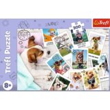 Trefl 23003 puzzle Sestavljanka 300 kos Živali | Shoptok.si
