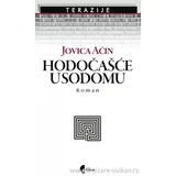 Jovica Aćin - Hodočašće u Sodomu