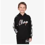Champion Hooded sweatshirt | ePonuda.com
