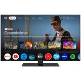 4K TV sprejemnik TN-43W70AEZ, 109cm