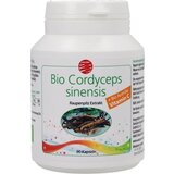 SanaCare cordyceps Extrakt Bio Cene