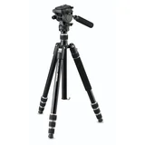 Nando 560M RW15