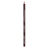 Wet N Wild olovka za usne color icon chestnut Cene