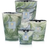 Baobab Collection Leaves Marius mirisna svijeća 500 g | shoptok.hr