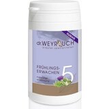 dr. WEYRAUCH Br. 5 - "Proljetno buđenje" - 60 kapsula | shoptok.hr