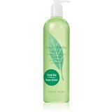 Elizabeth Arden Green Tea gel za prhanje 500 ml za ženske Cene