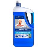 Mr. Proper PGP Ocean APC 3X5lt Cene