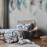  Foto tapeta - Colourful Feathers 500x350 | shoptok.hr