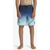 Quiksilver Boys' swimming shorts EVERYDAY NEW WAVE | Shoptok.si