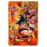 Dragon Ball Deka Super Battle of Gods Goku, 100 x 150 cm Slike