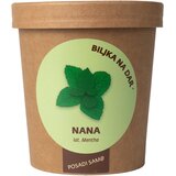 Urbana bašta Biljka na dar Nana Cene