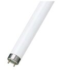 Philips Fluo cev TL-D 36W/54-765 G13 6200K 1213.60mm | ePonuda.com