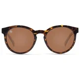 Mai Tai brown yellow tortoise