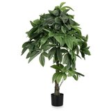  CVIJEĆE PACHIRA 120CM U SAKSIJI 0172861 | Eponuda.ba