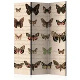 Paravan Butterflies, 3-Delni, Dvostranski