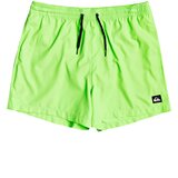 Quiksilver Everyday Volley 15 Boardshorts green gecko | Shoptok.si