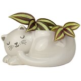 Sass & Belle Keramičen okrasni cvetlični lonec Sleeping Cat – | Shoptok.si
