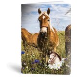 Rucksack Only Beležka A6 Horse, 40 listov | Shoptok.si