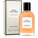 David Beckham Amber Breeze parfumska voda za moške 50 ml | Shoptok.si