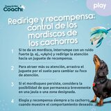  Pseća igračka Coachi PUPPY & MINI TUGGI SPIDER Zelena | shoptok.hr