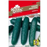  Krastavac Darina F1 0,4 g Royal Seeds | Eponuda.ba