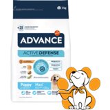 Advance dog Puppy Maxi 3kg, Hrana Za Štence Velikih Rasa Na Bazi Piletine
