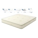  Dušek Queen Classic 160x190 cm + Poklon set Cene