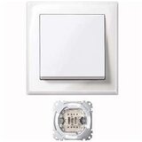 Merten Jumbo stikalo pws/gl MEG3341-1419, (20887849) | Shoptok.si