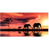  Tapeta XXL - elephants: family 550x270 | shoptok.hr