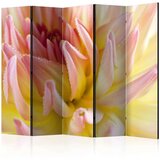  Paravan u 5 dijelova - Pastel colored dahlia flower with dew drops II [Room Dividers] 225x172 | shoptok.hr