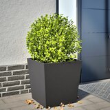 vidaXL Vrtna sadilica crna 50 x 50 x 50 cm čelična Cijene