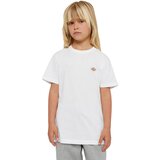 Dickies Majica 'YOUTH MAPLETON ' črna / bela | Shoptok.si