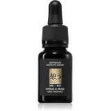 Apothecary Japanese Rest mirisno ulje 15 g