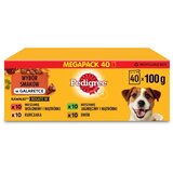 Pedigree Vital Protection Adult Mix of Flavours v želeju - mokra hrana za odrasle pse - 40 x 100 g, (21385788) Cene