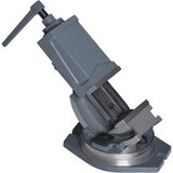 vidaXL Nagibni primež z 2 osema 100 mm | Shoptok.si